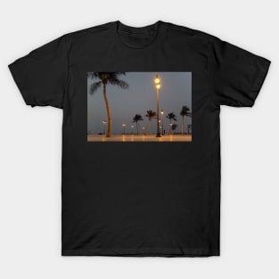 Palm Trees at the Park T-Shirt